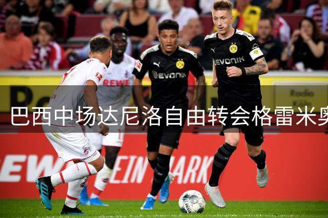 巴西中场达尼洛自由转会格雷米奥 签约四年半