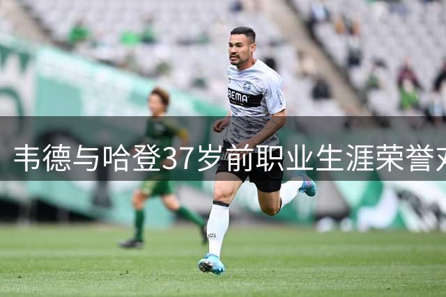 韦德与哈登37岁前职业生涯荣誉对比出炉